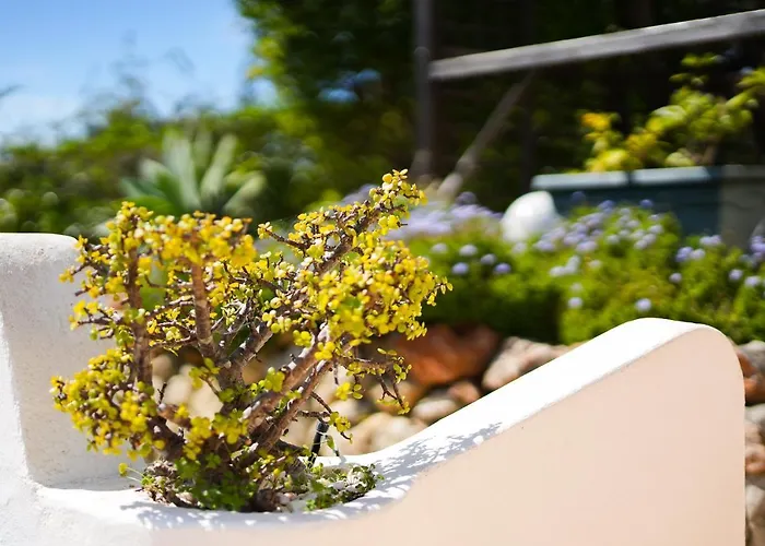 Villa Casa Manjua Carvoeiro (Lagoa)