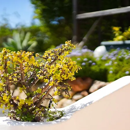 Villa Casa Manjua Carvoeiro (Lagoa)